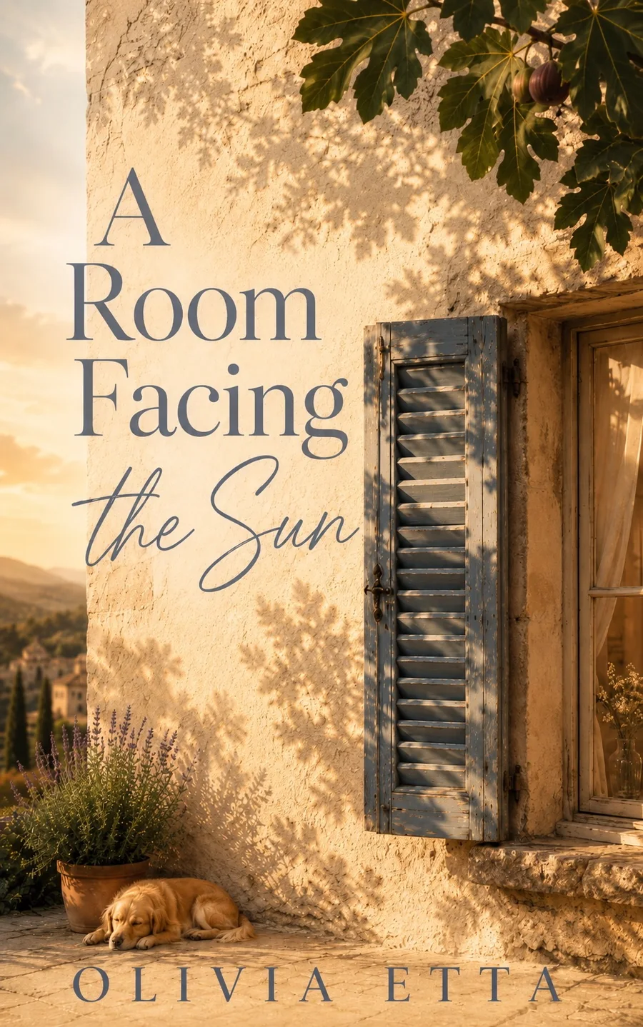 A Room Facing the Sun cover